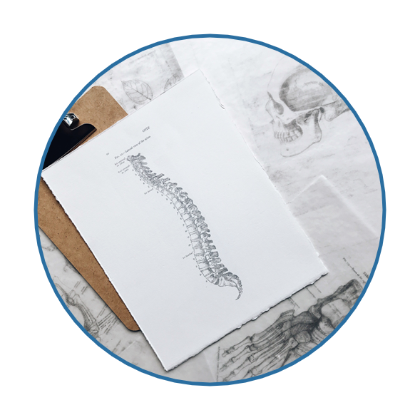 spinal