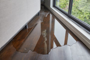 Does Homeowners Insurance Cover Water Damage from Leaking Windows?