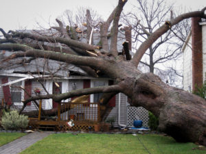 Massachusetts Property Damage Lawyer
