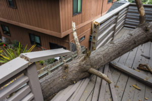 Middleton Property Damage Lawyer