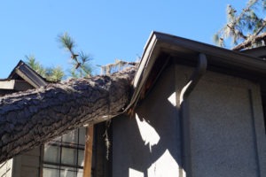 Does Homeowner’s Insurance Cover Hurricane Damage Claims?