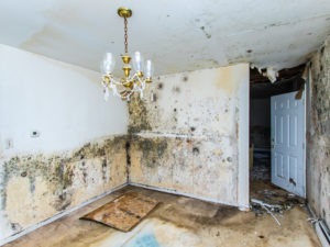 Jacksonville Property Damage Lawyer