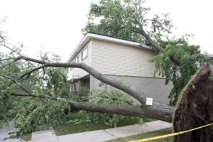 Massachusetts Wind Damage Lawyer