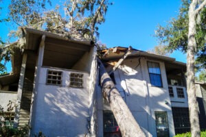 Naples Property Damage Lawyer