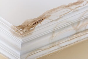 Does Homeowners Insurance Cover Water Damage